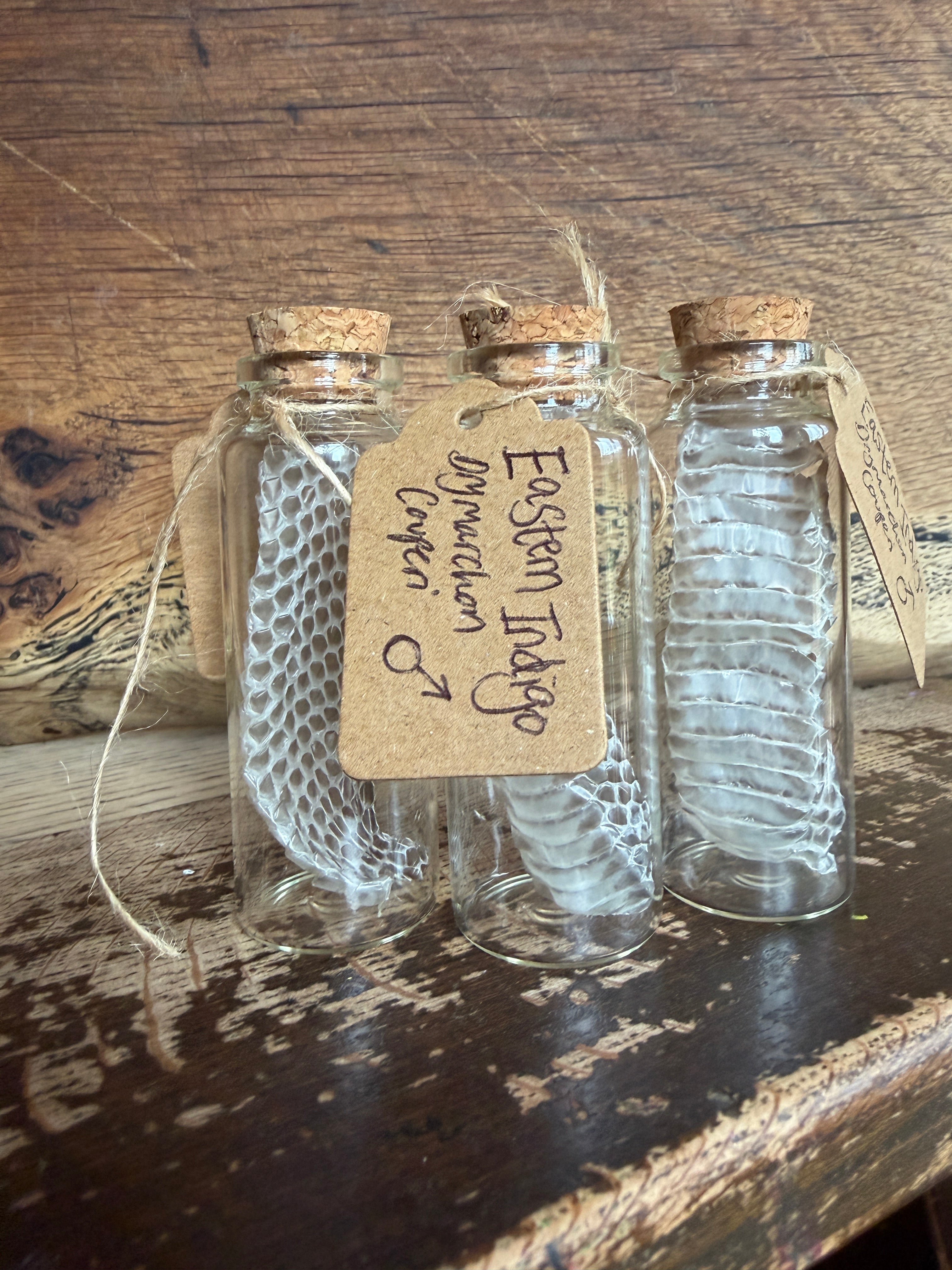 Snake Skin Vials - by Tubby's Family Snake Skins