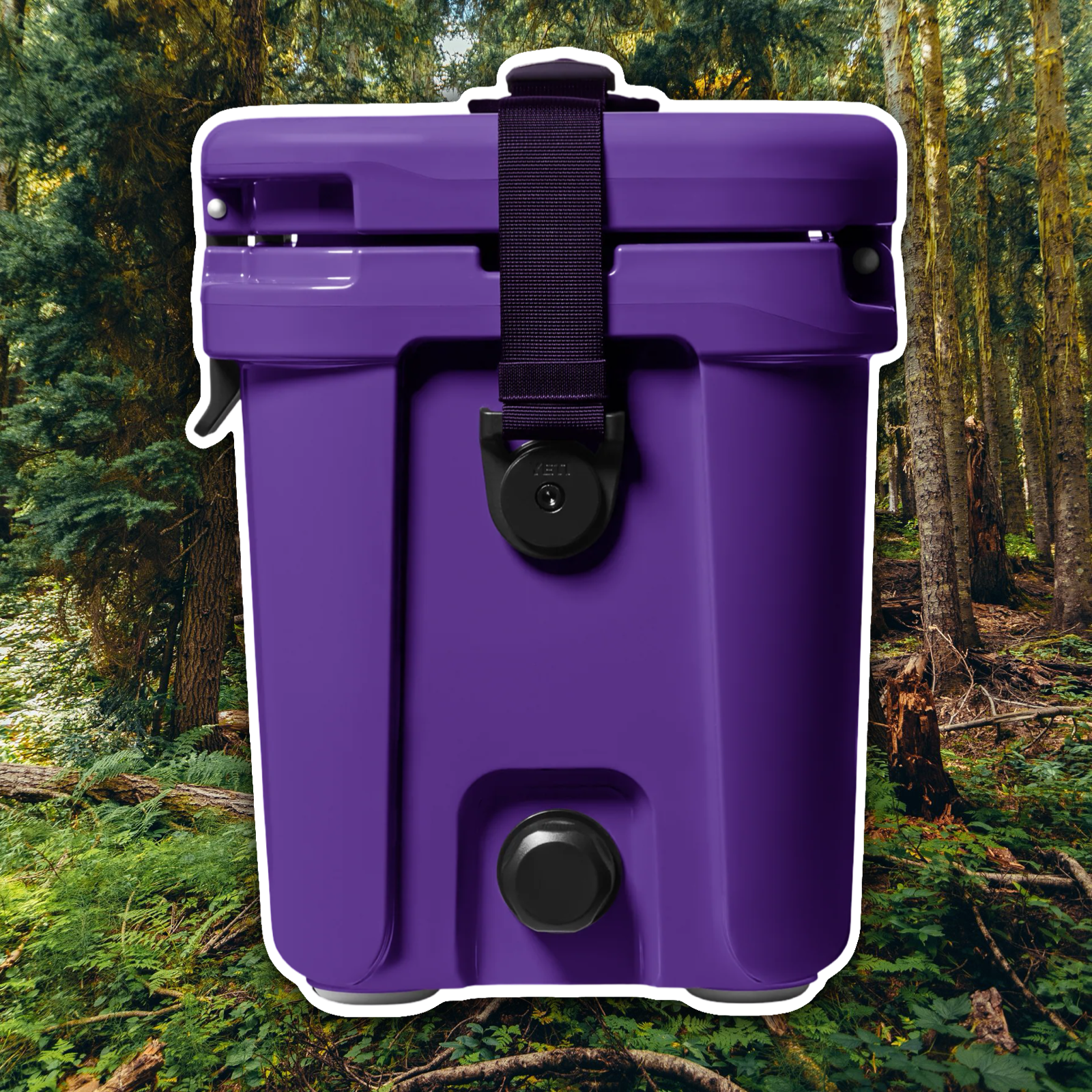 YETI PACE PURPLE ROADIE 15 COOL BOX 😈