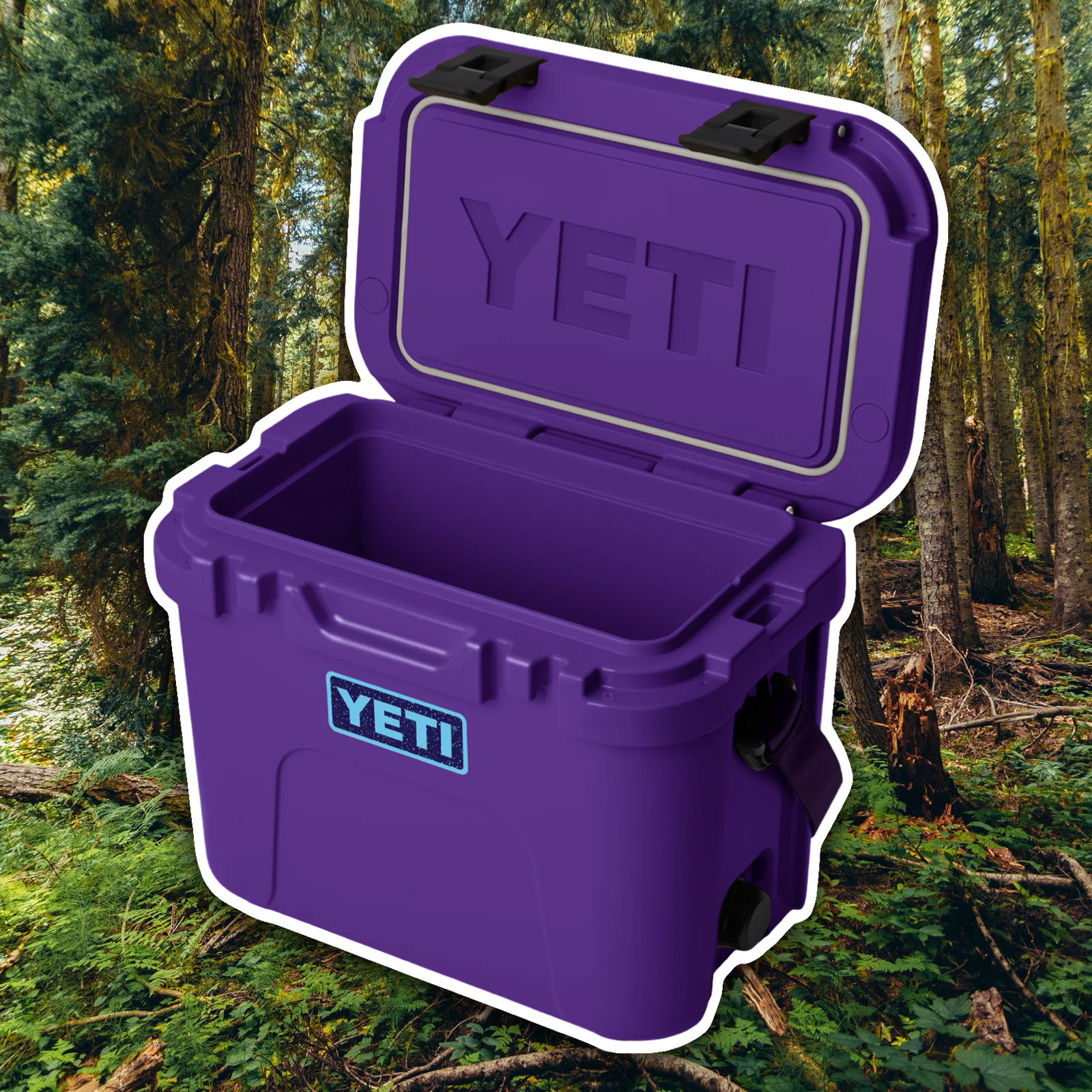 YETI PACE PURPLE ROADIE 15 COOL BOX 😈