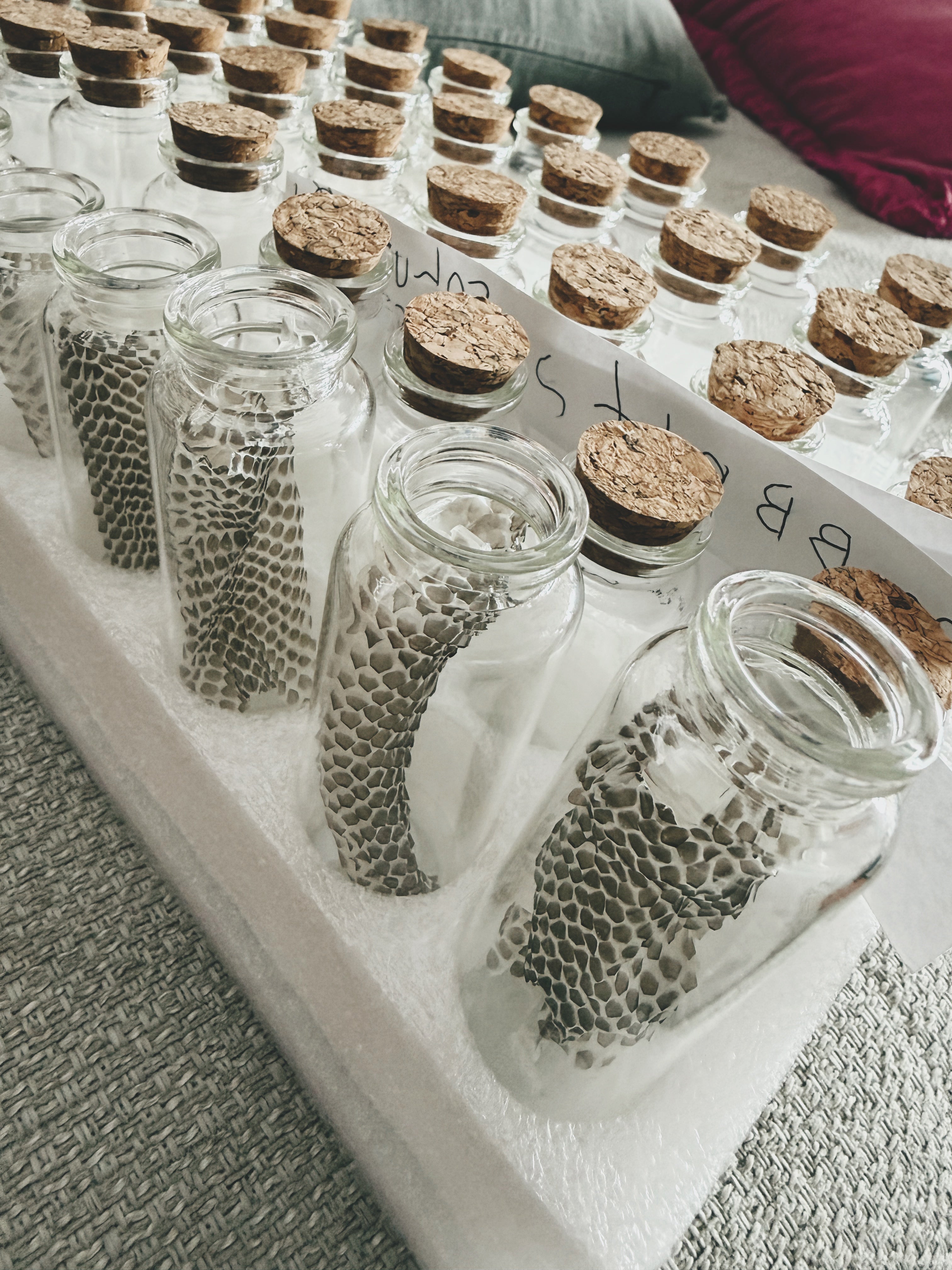 Snake Skin Vials - by Tubby's Family Snake Skins