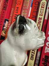 Load image into Gallery viewer, XL BULLY (BANNED IN THE UK) LOOKING FOR FOREVER HOME RARE CERAMIC STATUE
