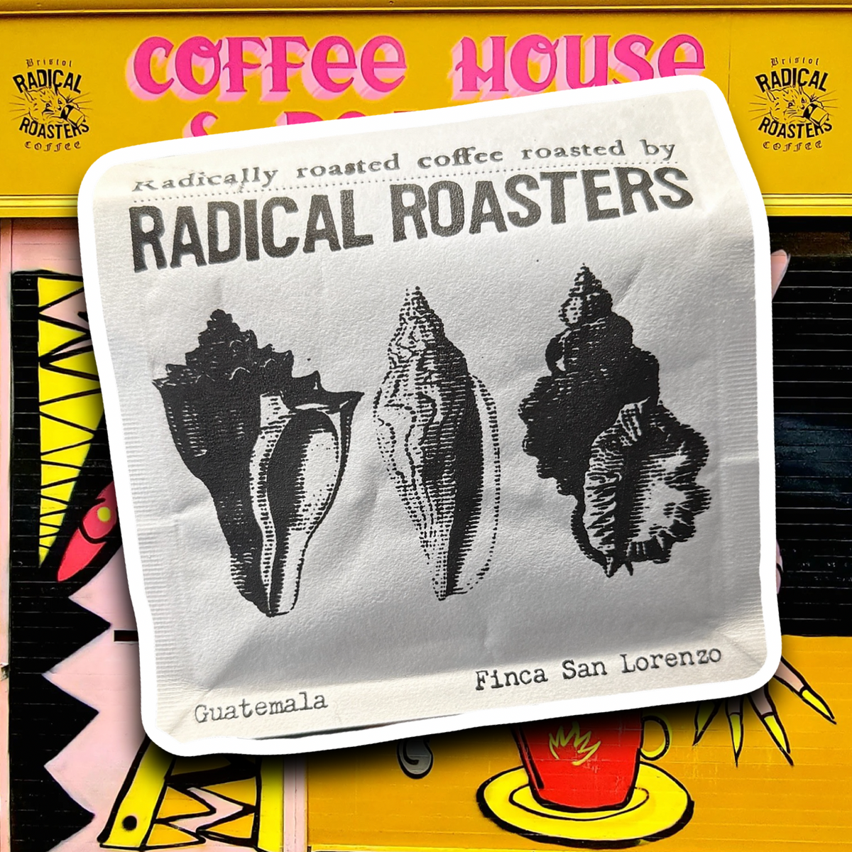 Citrus Zest x Chocolate Finish | Radical Roasters Sea Shell Guatemalan Coffee 250g