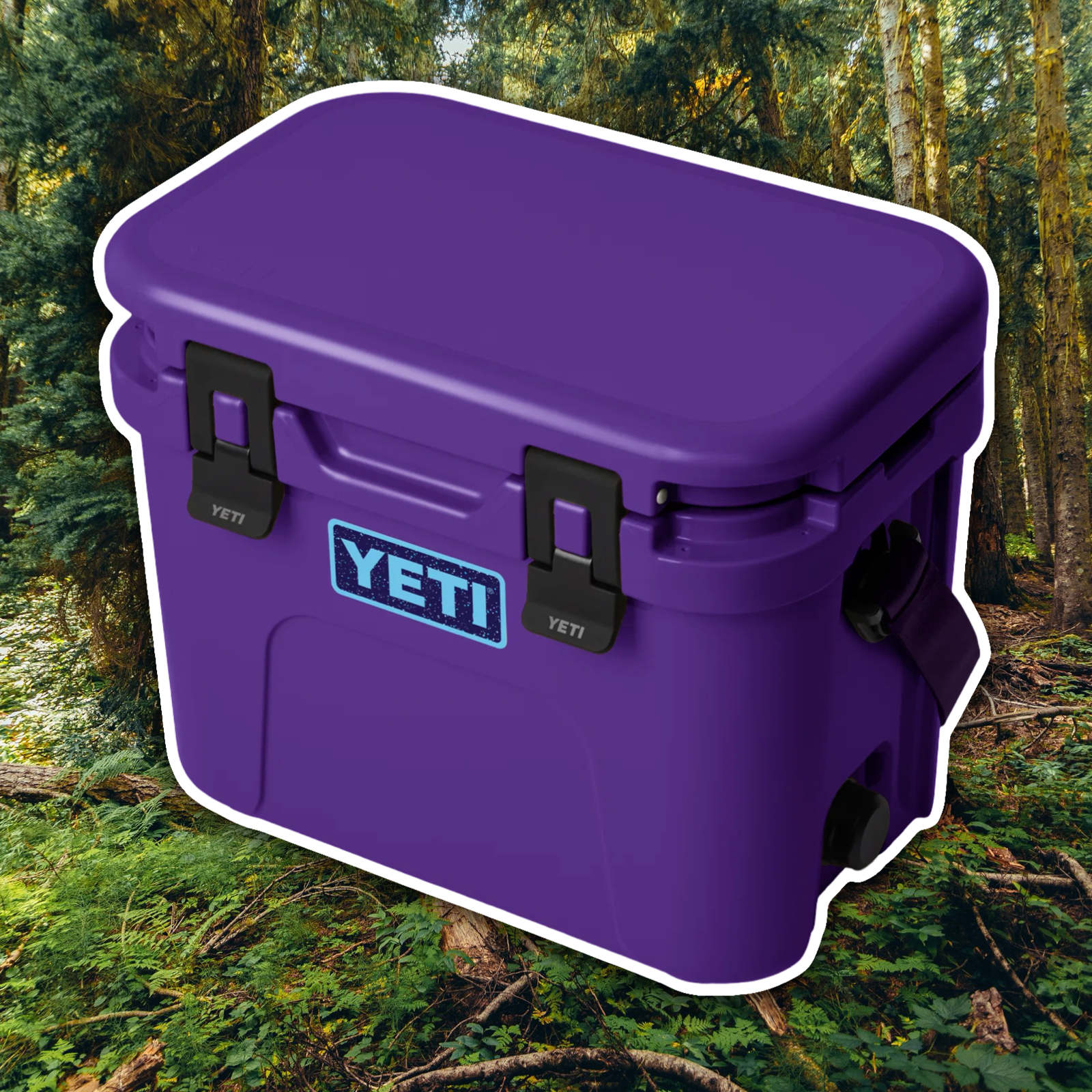 YETI PACE PURPLE ROADIE 15 COOL BOX 😈